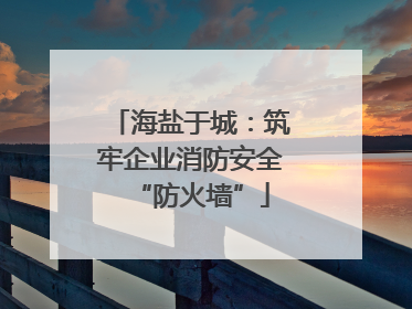 海盐于城：筑牢企业消防安全“防火墙”