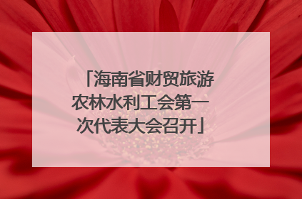 海南省财贸旅游农林水利工会第一次代表大会召开