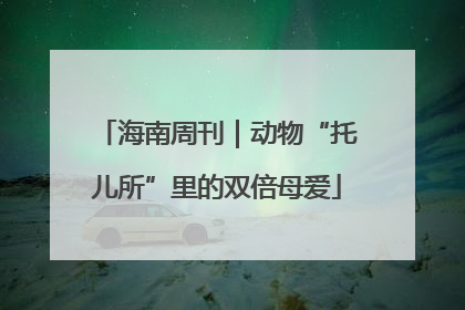 海南周刊｜动物“托儿所”里的双倍母爱