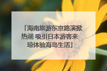 海南旅游东京路演掀热潮 吸引日本游客来琼体验海岛生活