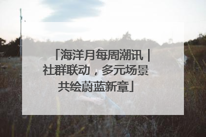 海洋月每周潮讯｜社群联动，多元场景共绘蔚蓝新章