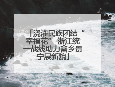 浇灌民族团结“幸福花” 浙江统一战线助力畲乡景宁展新貌