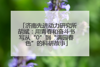 济南先进动力研究所胡斌：用青春和奋斗书写从“0”到“满园春色”的科研故事