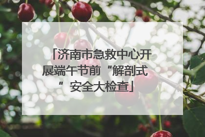 济南市急救中心开展端午节前“解剖式”安全大检查