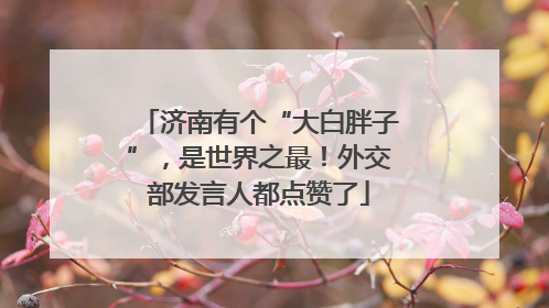 济南有个“大白胖子”，是世界之最！外交部发言人都点赞了