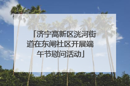 济宁高新区洸河街道在东闸社区开展端午节慰问活动