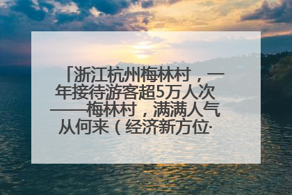 浙江杭州梅林村，一年接待游客超5万人次——梅林村，满满人气从何来（经济新方位·农村消费观察）