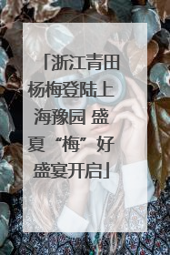浙江青田杨梅登陆上海豫园 盛夏“梅”好盛宴开启