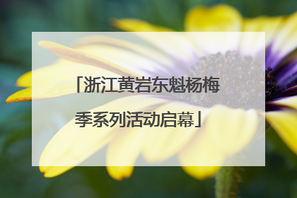浙江黄岩东魁杨梅季系列活动启幕