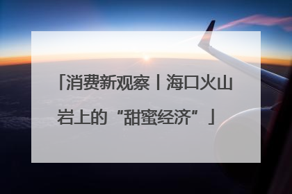 消费新观察丨海口火山岩上的“甜蜜经济”