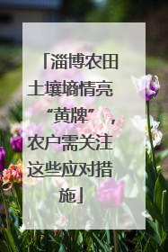 淄博农田土壤墒情亮“黄牌”，农户需关注这些应对措施