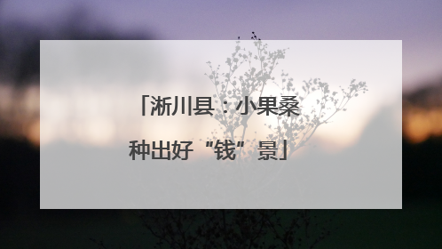 淅川县：小果桑种出好“钱”景