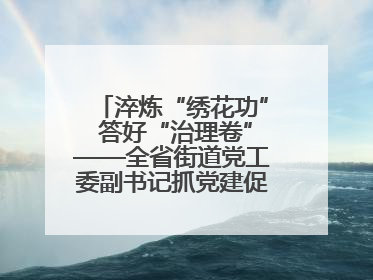 淬炼“绣花功” 答好“治理卷”——全省街道党工委副书记抓党建促基层治理培训示范班侧记