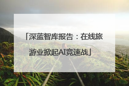 深蓝智库报告：在线旅游业掀起AI竞速战
