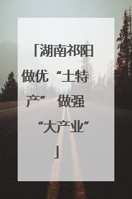 湖南祁阳做优“土特产” 做强“大产业”
