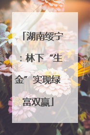 湖南绥宁：林下“生金”实现绿富双赢