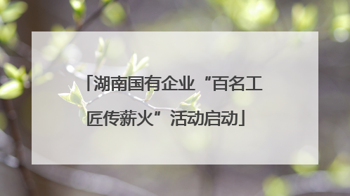 湖南国有企业“百名工匠传薪火”活动启动