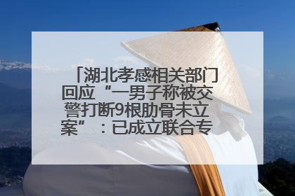湖北孝感相关部门回应“一男子称被交警打断9根肋骨未立案”：已成立联合专班开展工作