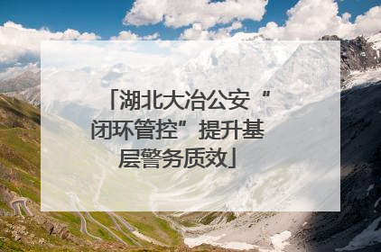 湖北大冶公安“闭环管控”提升基层警务质效
