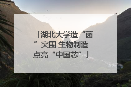 湖北大学造“菌”突围 生物制造点亮“中国芯”