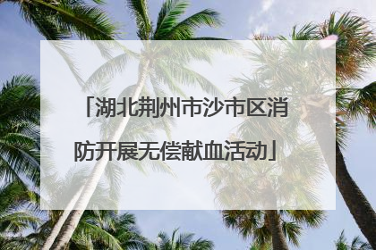 湖北荆州市沙市区消防开展无偿献血活动