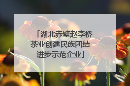 湖北赤壁赵李桥茶业创建民族团结进步示范企业