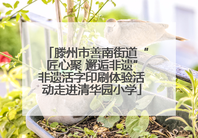 滕州市善南街道“匠心聚 邂逅非遗”非遗活字印刷体验活动走进清华园小学