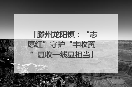 滕州龙阳镇：“志愿红”守护“丰收黄”夏收一线显担当