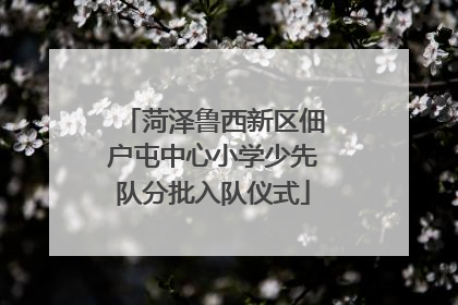 菏泽鲁西新区佃户屯中心小学少先队分批入队仪式
