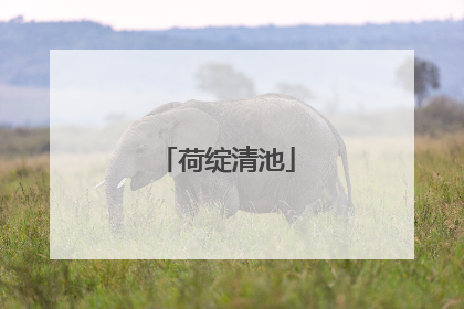 荷绽清池