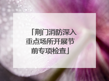 荆门消防深入重点场所开展节前专项检查