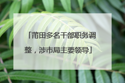 莆田多名干部职务调整，涉市局主要领导