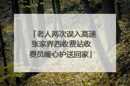 老人两次误入高速 张家界西收费站收费员暖心护送回家