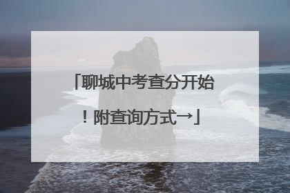 聊城中考查分开始！附查询方式→