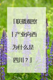 联播观察丨产业向西 为什么是四川？