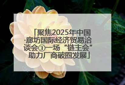 聚焦2025年中国·廊坊国际经济贸易洽谈会③一场“链主会” 助力厂商破圈发展