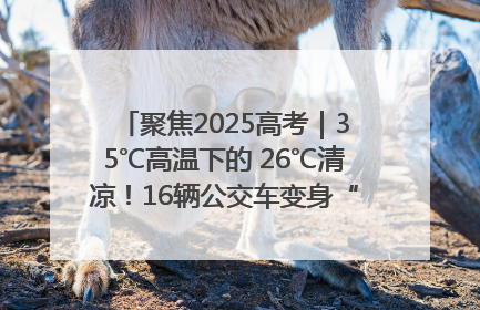 聚焦2025高考｜35℃高温下的 26℃清凉！16辆公交车变身“助考驿站”为高考护航