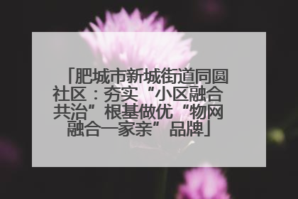 肥城市新城街道同圆社区：夯实“小区融合共治”根基做优“物网融合一家亲”品牌