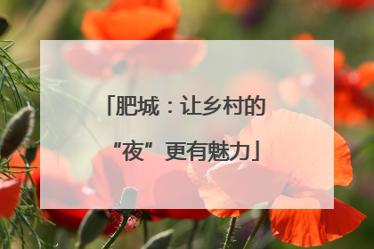 肥城：让乡村的“夜”更有魅力
