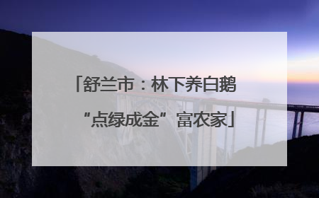 舒兰市：林下养白鹅 “点绿成金”富农家