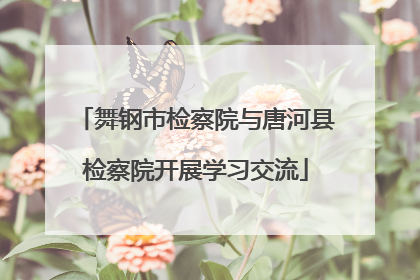 舞钢市检察院与唐河县检察院开展学习交流