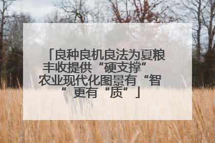 良种良机良法为夏粮丰收提供“硬支撑” 农业现代化图景有“智”更有“质”