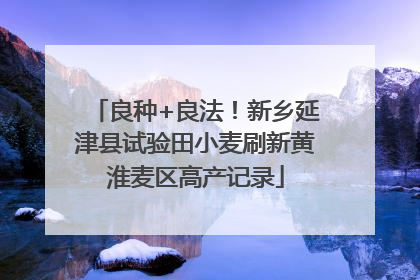 良种+良法！新乡延津县试验田小麦刷新黄淮麦区高产记录