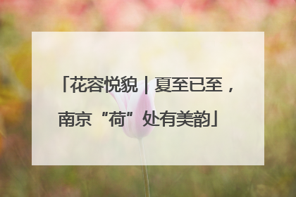 花容悦貌｜夏至已至，南京“荷”处有美韵
