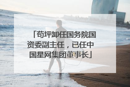 苟坪卸任国务院国资委副主任，已任中国星网集团董事长