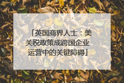 英国商界人士：美关税政策成跨国企业运营中的关键障碍