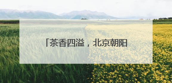 茶香四溢，北京朝阳开启国际茶香文化周
