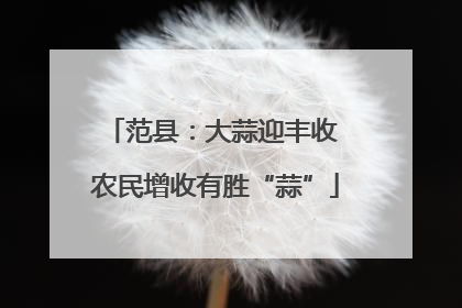 范县：大蒜迎丰收 农民增收有胜“蒜”