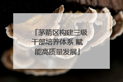 茅箭区构建三级干部培养体系 赋能高质量发展