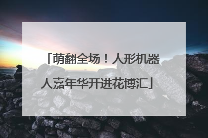 萌翻全场！人形机器人嘉年华开进花博汇